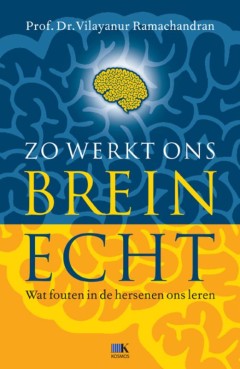 Zo Werkt Ons Brein  Echt