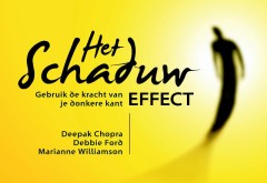 Het Schaduw Effect