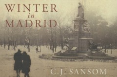 Winter in Madrid