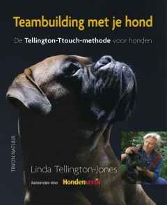 Teambuilding met je hond