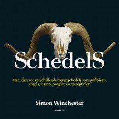 Schedels