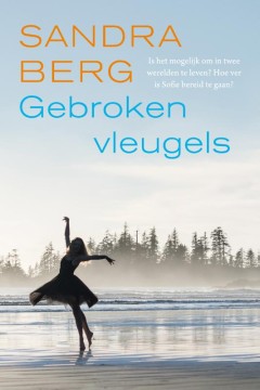 Gebroken vleugels