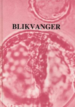 Blikvanger