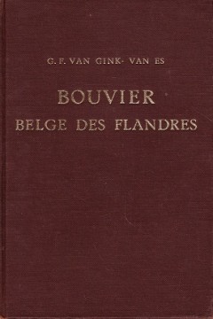 Bouvier Belge des Flandres