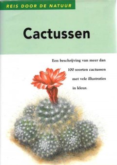 Cactussen