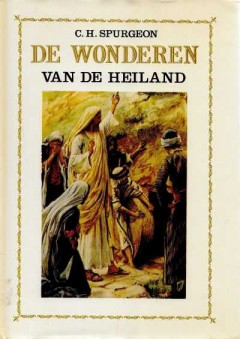 De wonderen van de Heiland