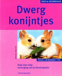 Dwerg konijntjes