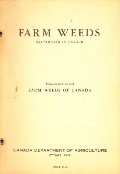 Farm Weeds