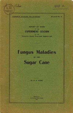 Fungus Maladies of the Sugar Cane