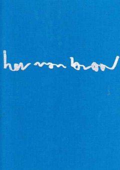 Woedend licht van Herman Brood