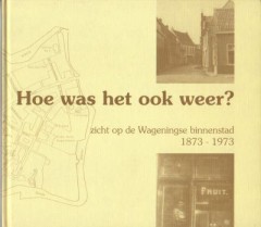 Hoe was het ook weer? Zicht op de Wageningse binnenstad 1873 - 1973