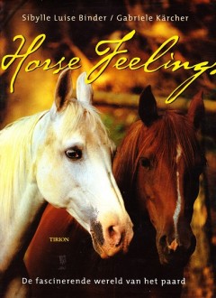 Horse Feelings