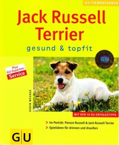 Jack Russel Terrier