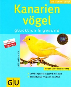 Kanarien vögel