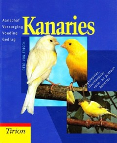 Kanaries