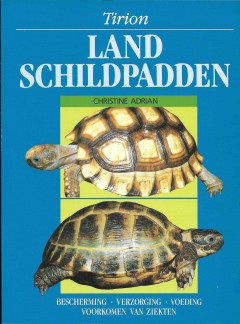 Land schildpadden