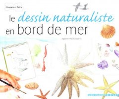 Le dessin naturaliste en bord de mer