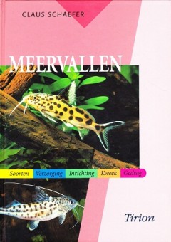 Meervallen