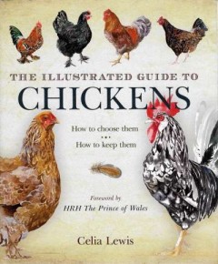 The illustrated guide to Chickens