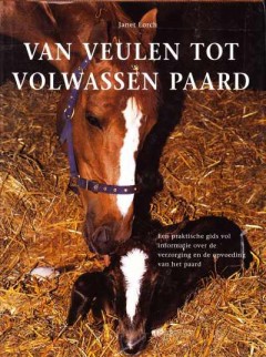 Van veulen tot volwassen paard