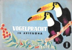 Vogelpracht in Avifauna