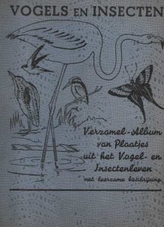 Vogels en Insecten