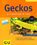 Geckos