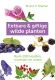 Eetbare en giftige wilde planten