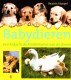 Babydieren