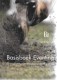 Basisboek Eventing