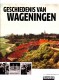 Geschiedenis van Wageningen