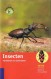 Insecten herkennen en benoemen