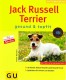 Jack Russel Terrier