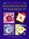 Kleurrijk Kaleidoscoop vouwen