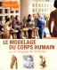 Le modelage du corps humain