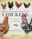 The illustrated guide to Chickens