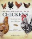 The illustrated guide to Chickens