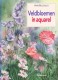 Veldbloemen in aquarel